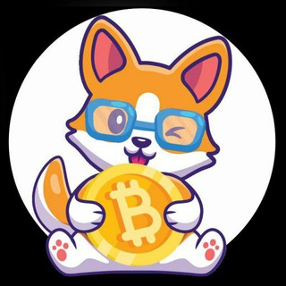 CHIBI INU 🐶