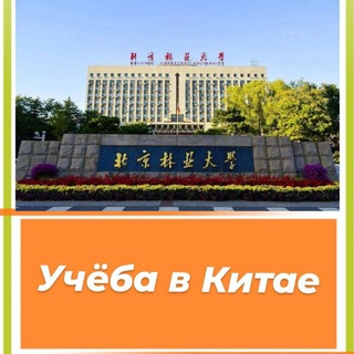 chinaedu 🇨🇳
