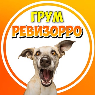 Грум РЕВИЗОРРО 📚
