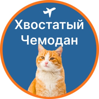 Хвостатый чемодан | О путешествиях с питомцами