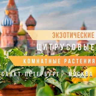 Клуб ЦитрусМикс Москва-Санкт-Петербург