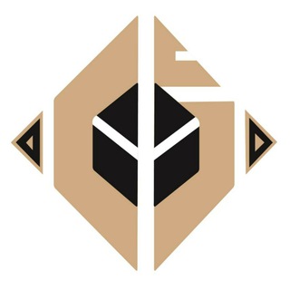 Coin Insights