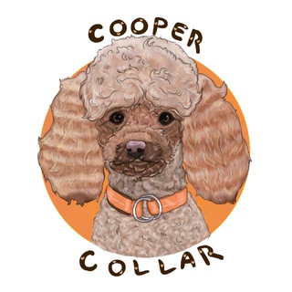 COOPER COLLAR|Амуниция для собак