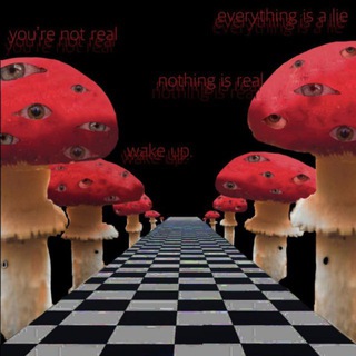 core эвридей