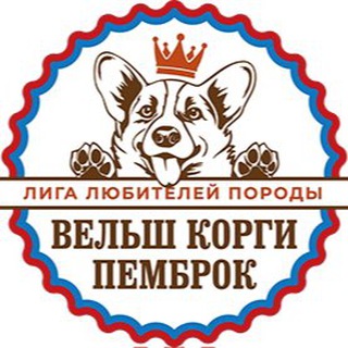 ЛЛП Вельш корги пемброк️