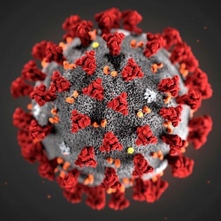 Coronavirus News