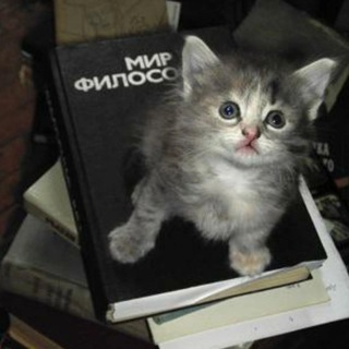 Котфуция