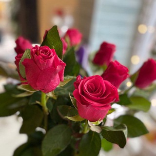 Blog_neizvestnoy
