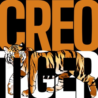 Приключения Тима🐅
