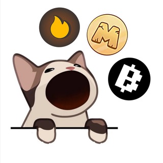 CryptoCat