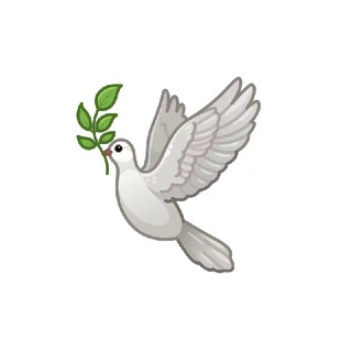 CRYPTO ANGEL