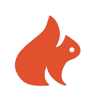 Crypto Belki 🐿