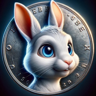 Crypto bunny - ЧАТ