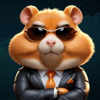 КриптоДжет | КОМБО и ШИФРЫ | EMPIRE / Hamster Kombat
