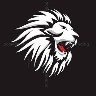 Crypto Lions