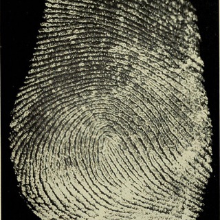identify