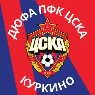 ДЮФА ПФК ЦСКА Куркино Новогорск