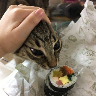 MeowMeowMeow