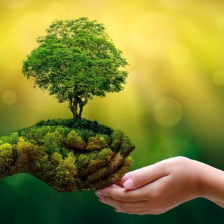 🌿 Афиша зелёных событий 🌿 СВОП