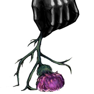 DabroTakoe.