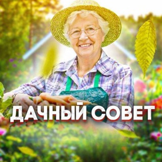Дачный совет