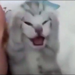 я твой даг ронял