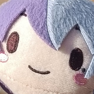 daily nui