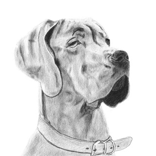 Daliton-art