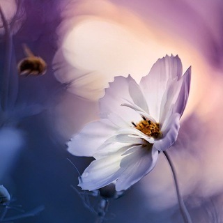 MagicMacro
