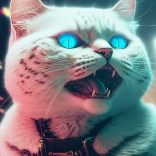 Dandelion | 🙀