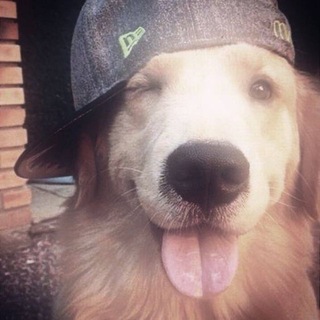 Danya_IZI:)