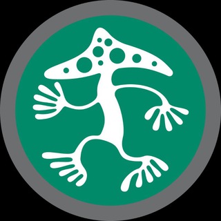 ДУРМАН/DATURA