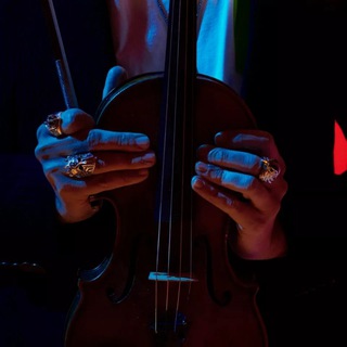 David Garrett🎻