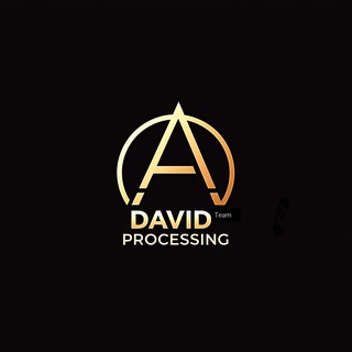Процессинг David Team