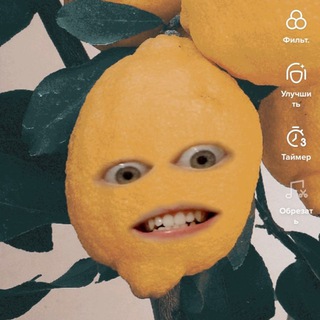 Davydova📵