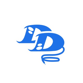 DD CONCEPT