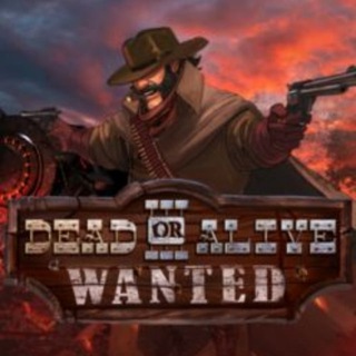 Dead Or Alive 3 Wanted
