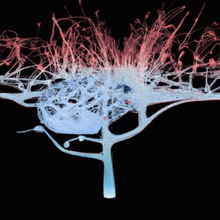 Deep learning