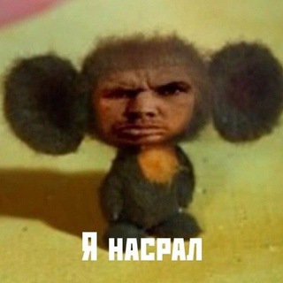 Пруфики Дианы