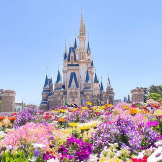 Disney mania
