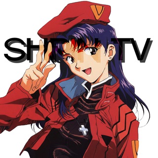 Shpin Television
