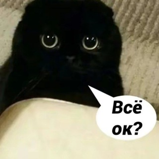 ДНК Юмора