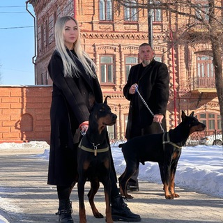 Doberman Pride