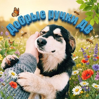 Добрые ручки ДВ