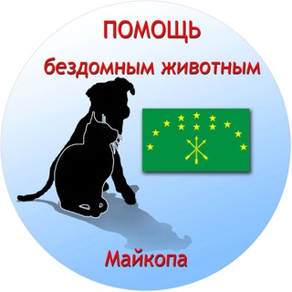 Dog_maikop🐕❤️🐈