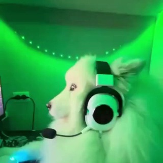 Doga mali