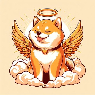 💰DogeQR Main💰