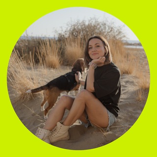 DoggyBloggy