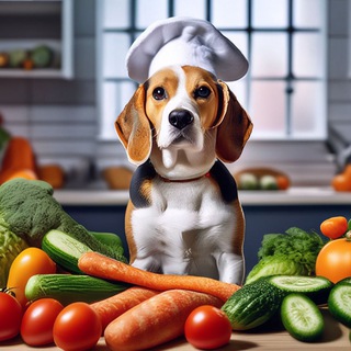 Dogbarf.ru