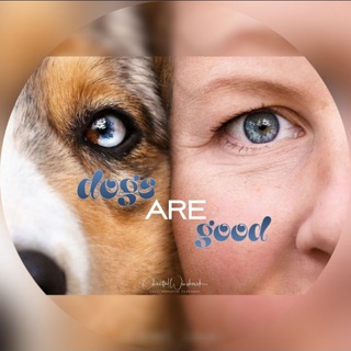 dogs are good